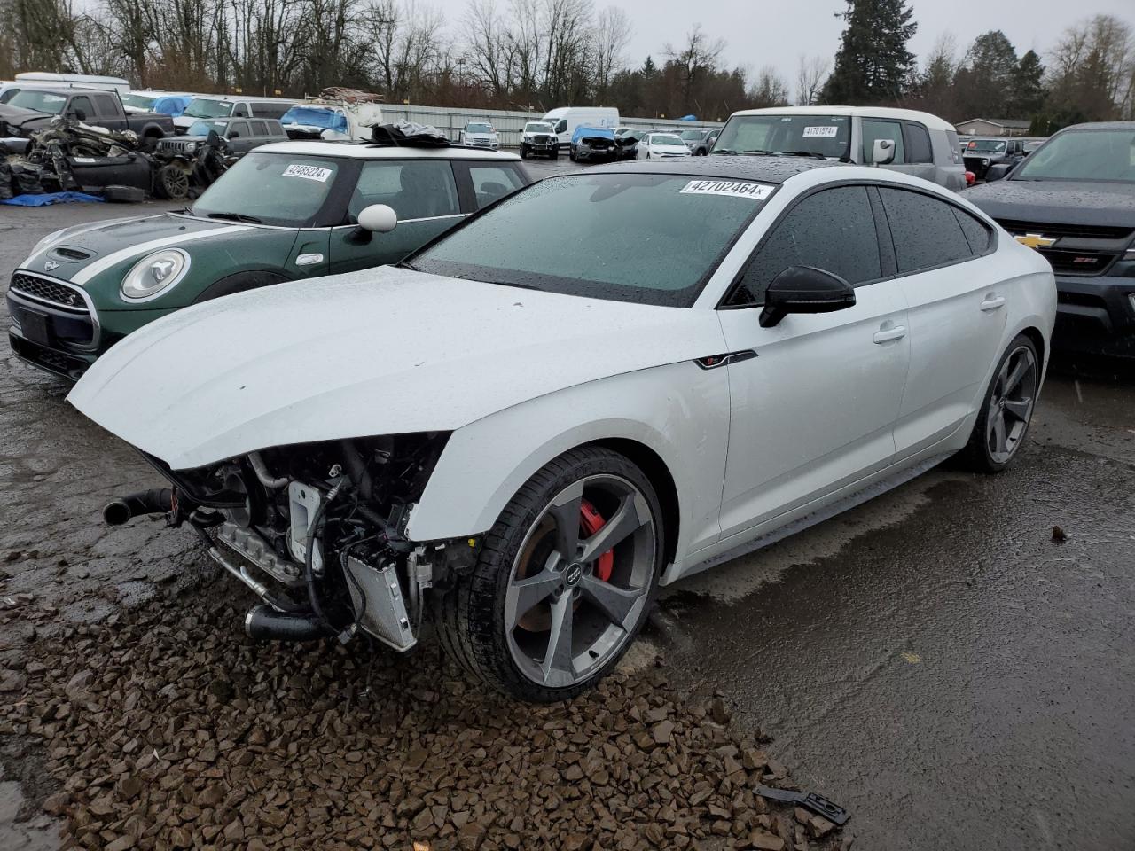 WAUC4CF53KA071354 AUDI S5/RS5 2019