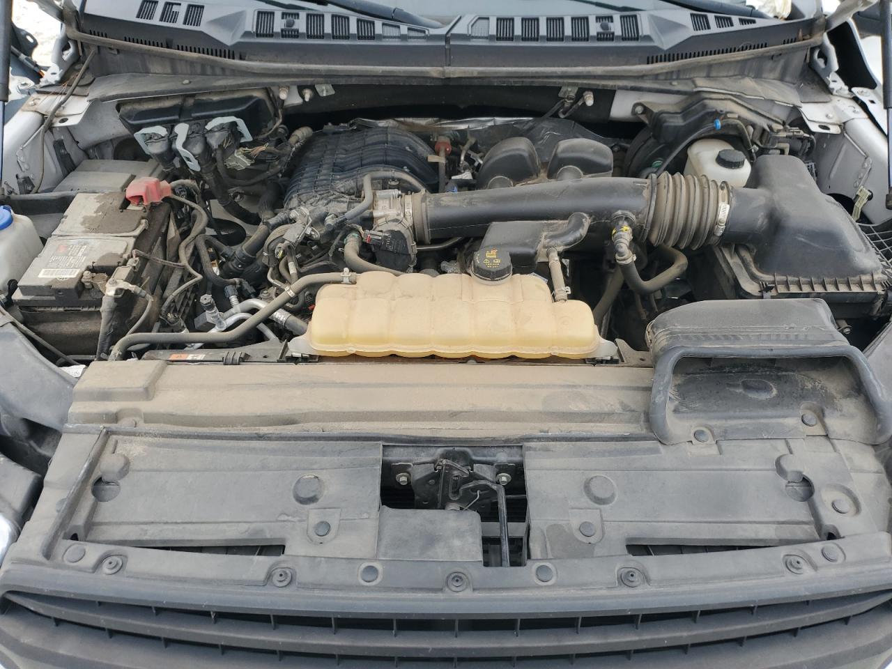 1FTEW1EB0KFB02063 FORD F-150 2019