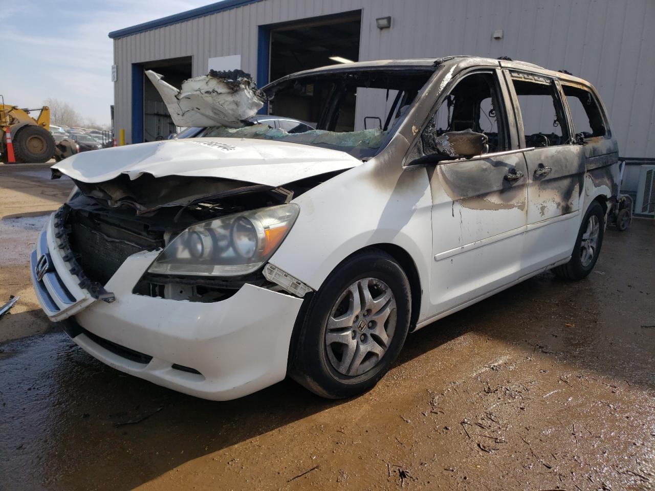 5FNRL38666B448231 2006 Honda Odyssey Exl