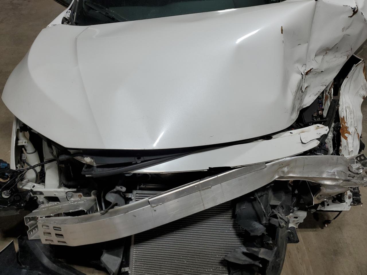 2HGFC2F88KH574193 HONDA CIVIC 2019