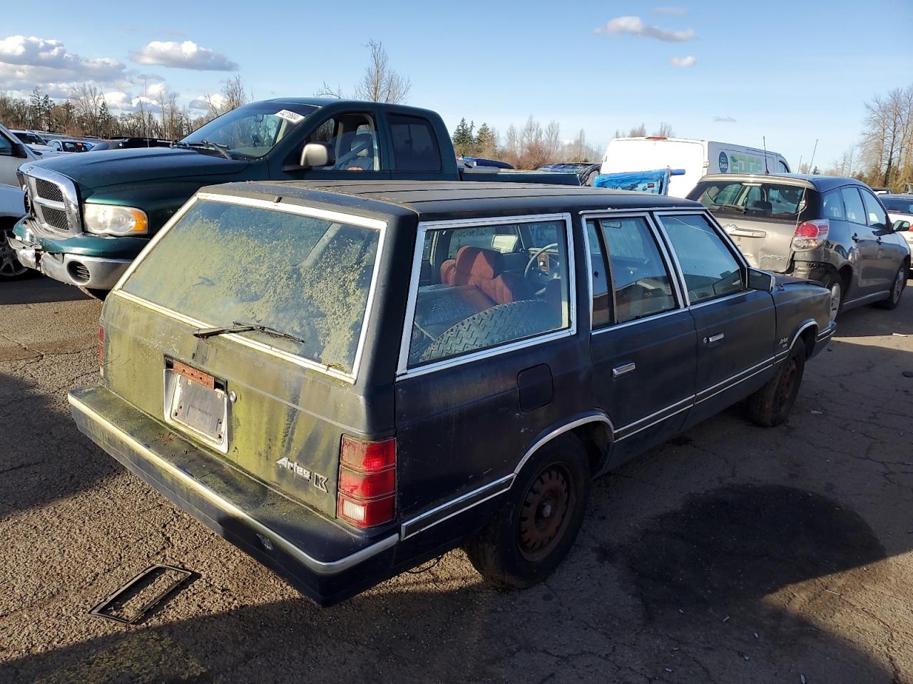 1B3BK49D9BF117786 1981 Dodge Aries Custom