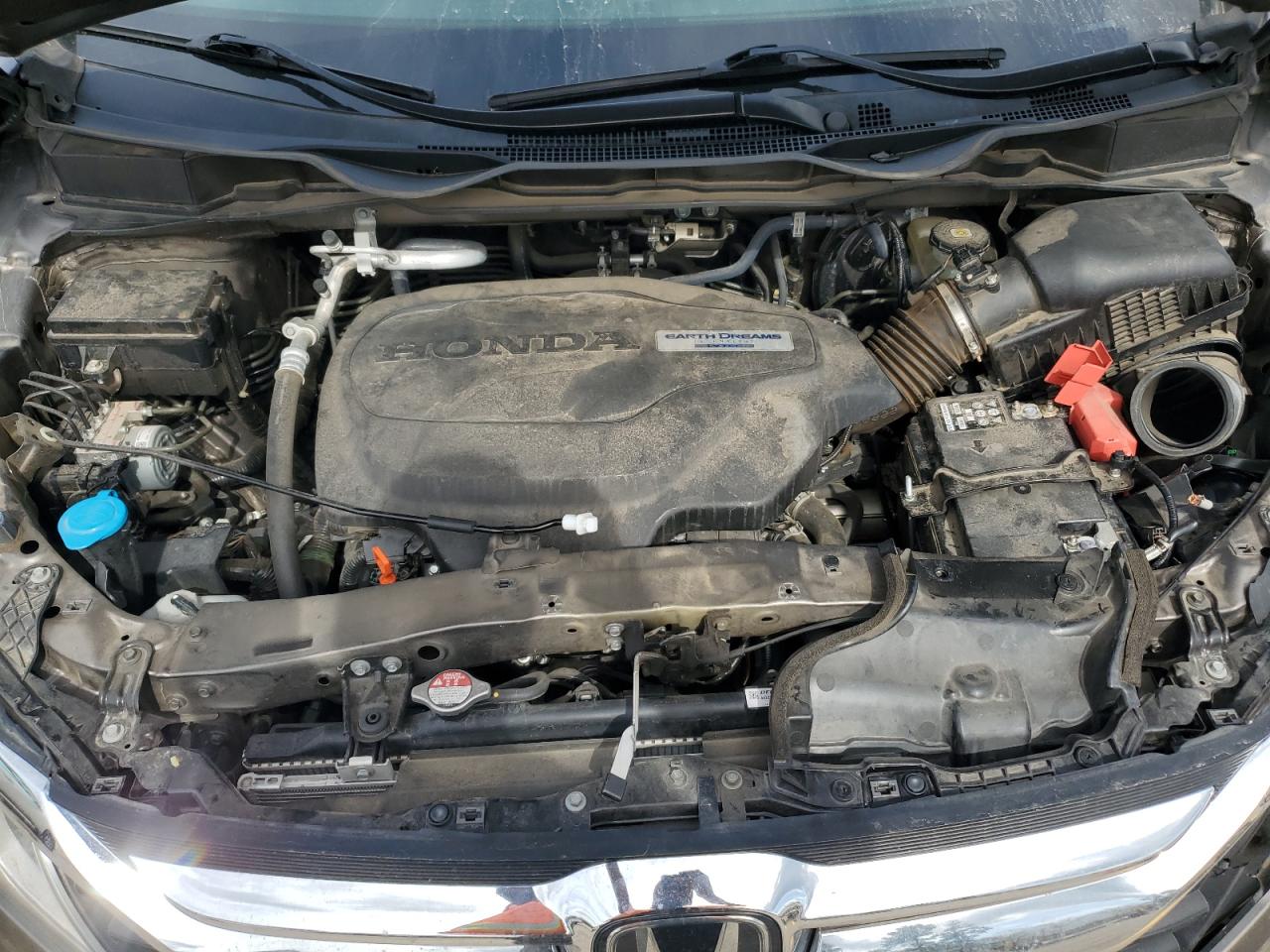 5FNRL6H70KB059086 HONDA All Models 2019