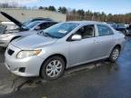 Lot #2993628181 2009 TOYOTA COROLLA BA