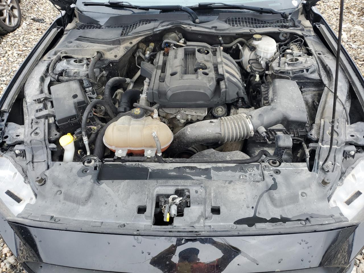 1FA6P8TH7J5145925 FORD ALL Models 2018