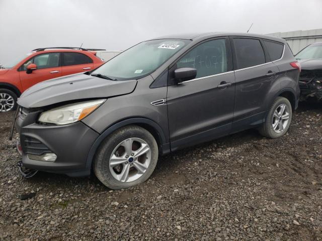 Vin: 1fmcu0gxxeub61455, lot: 42432744, ford escape se 2014 img_1
