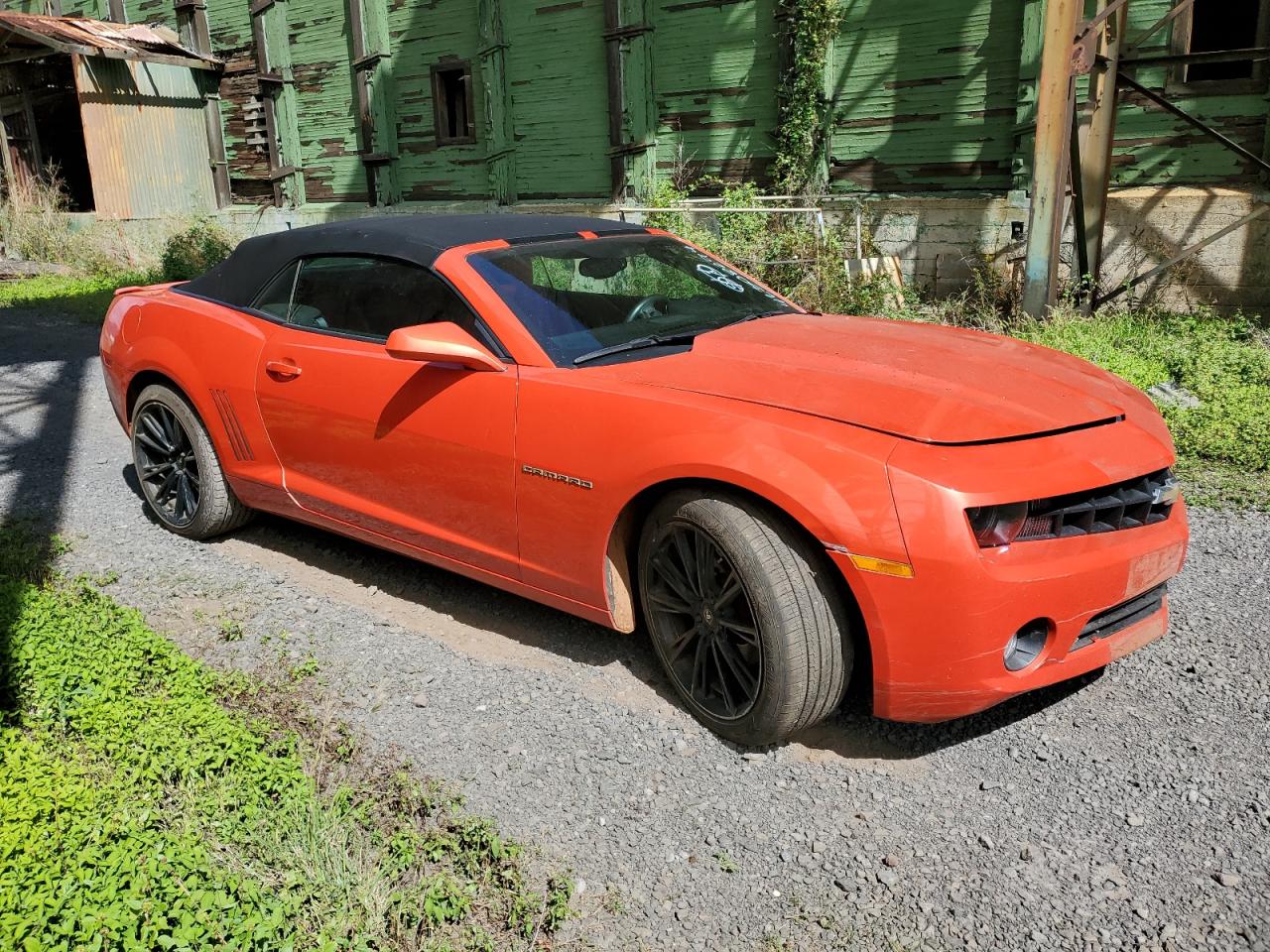 Lot #2513016923 2011 CHEVROLET CAMARO LT