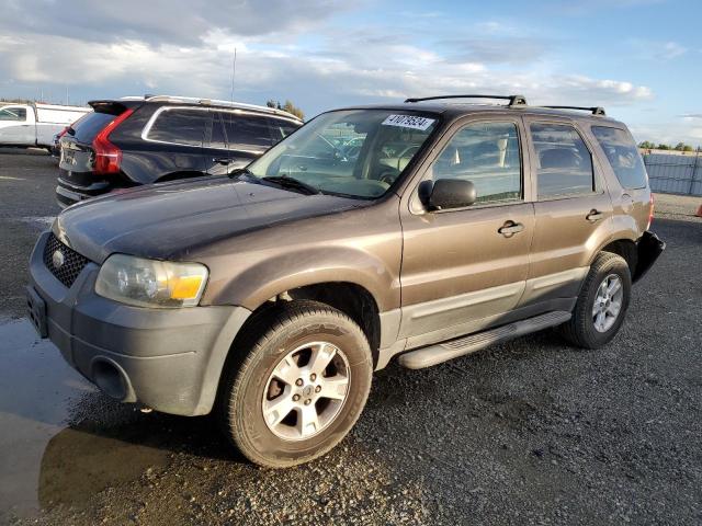 2006 Ford Escape XLT