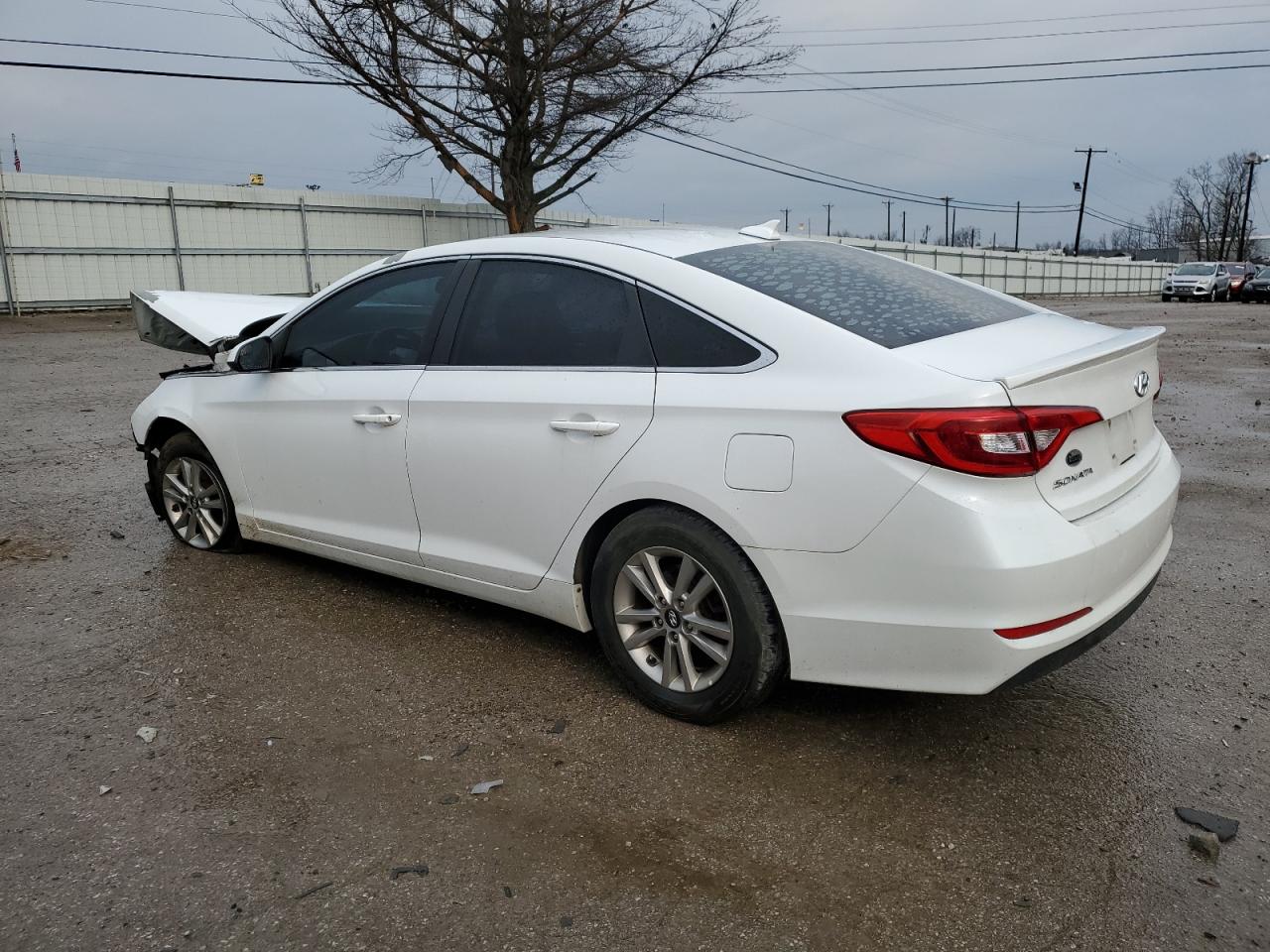 5NPE24AFXGH319140 2016 Hyundai Sonata Se