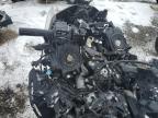 Lot #2974982115 2021 HONDA GL1800 D