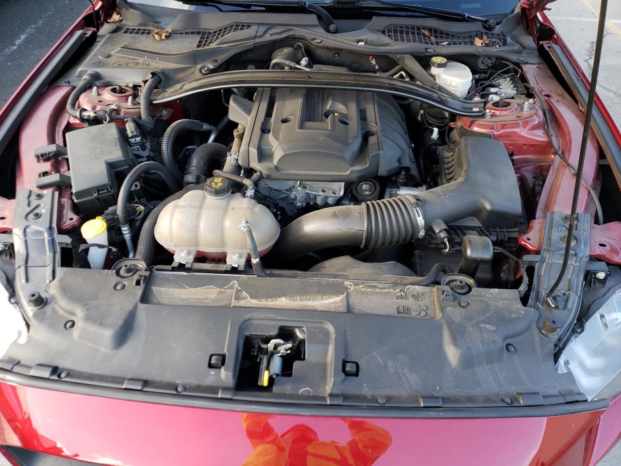 1FA6P8TH6K5176830 FORD ALL Models 2019
