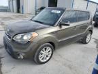 KIA SOUL + photo