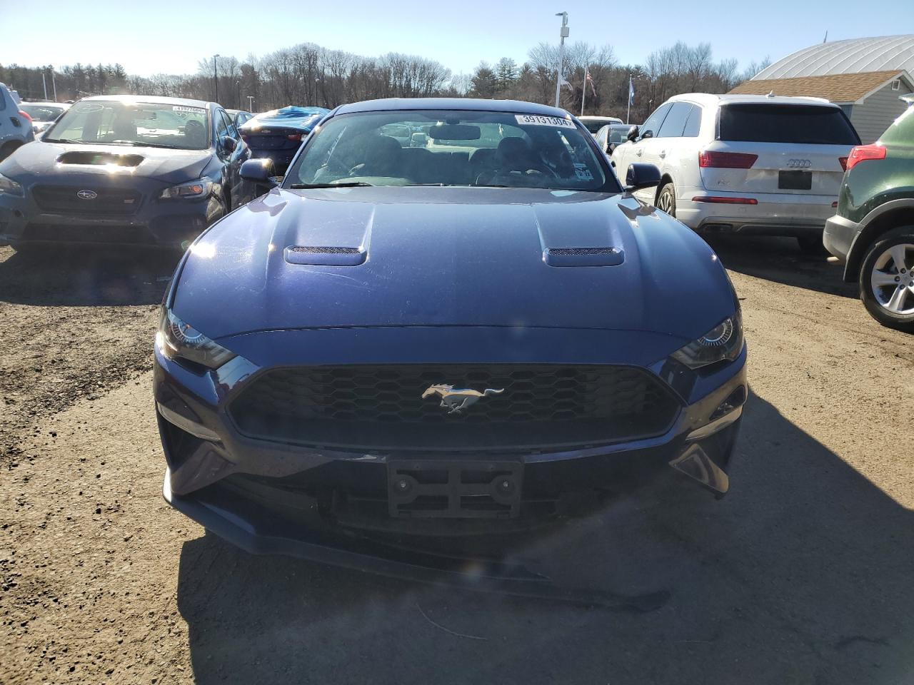 Lot #2339986592 2019 FORD MUSTANG