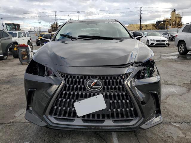 2024 LEXUS NX 250 BAS 2T2ADCAZ8RC012886
