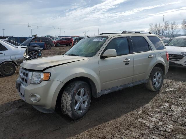 2010 Ford Escape Limited