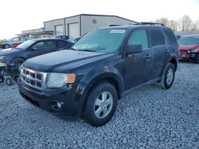 2009 Ford Escape XLT