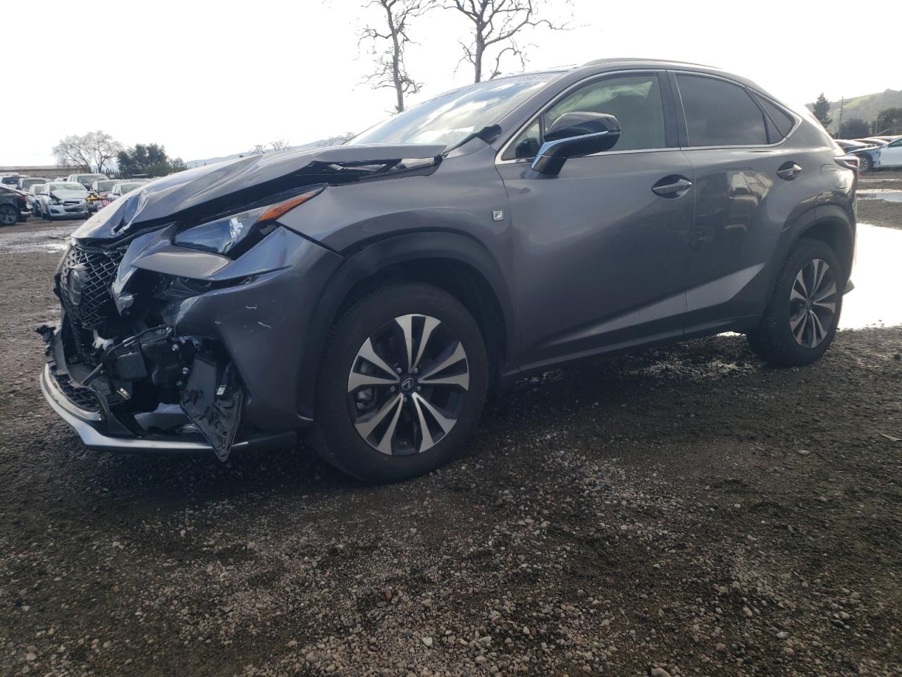 JTJSARDZ5L2235499 LEXUS NX 300 F-S 2020
