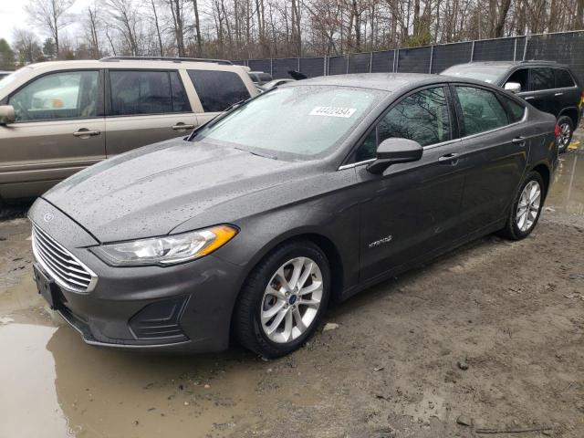 Lot #2397196823 2019 FORD FUSION SE salvage car