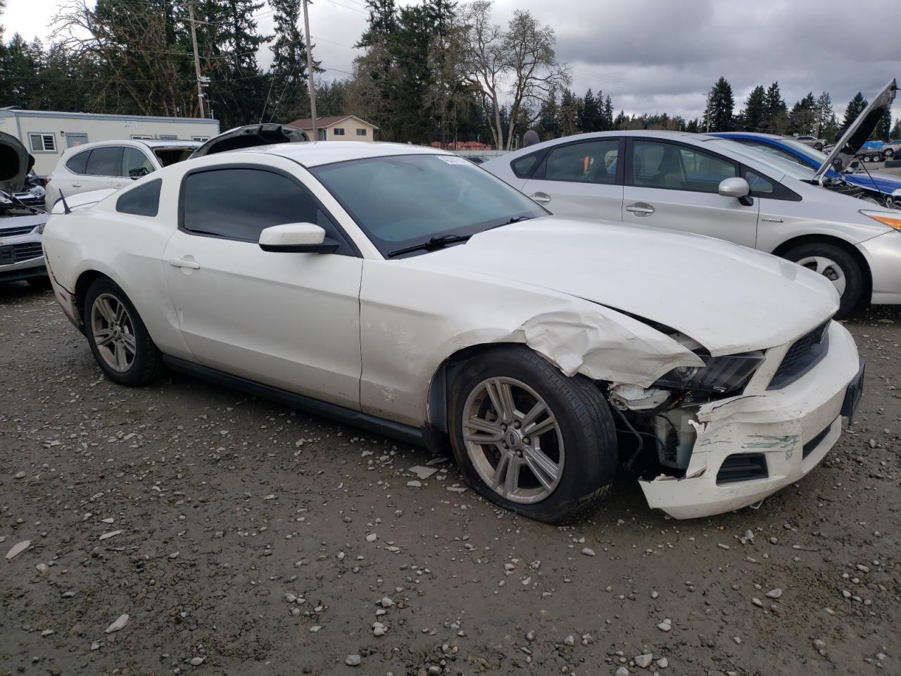 1ZVBP8AN5A5146862 2010 Ford Mustang