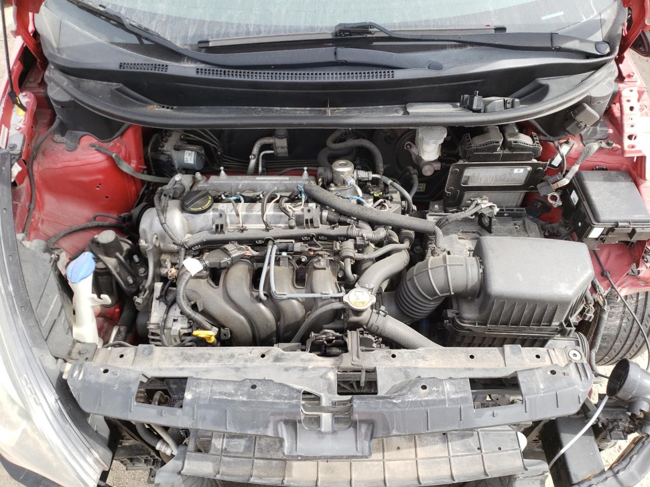 KNADM4A36E6398421 2014 Kia Rio Lx