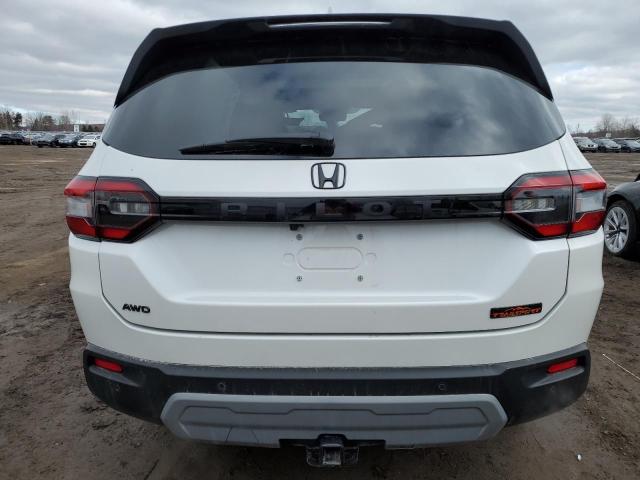 2023 HONDA PILOT TRAI 5FNYG1H64PB502177