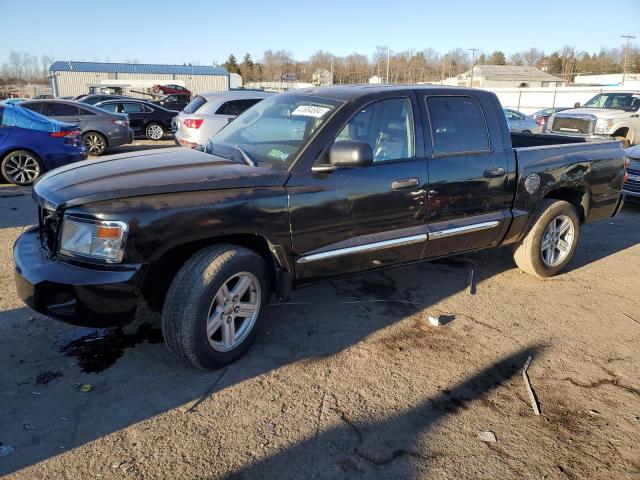 2008 Dodge Dakota Sport VIN: 1D7HW68K98S501923 Lot: 41884684