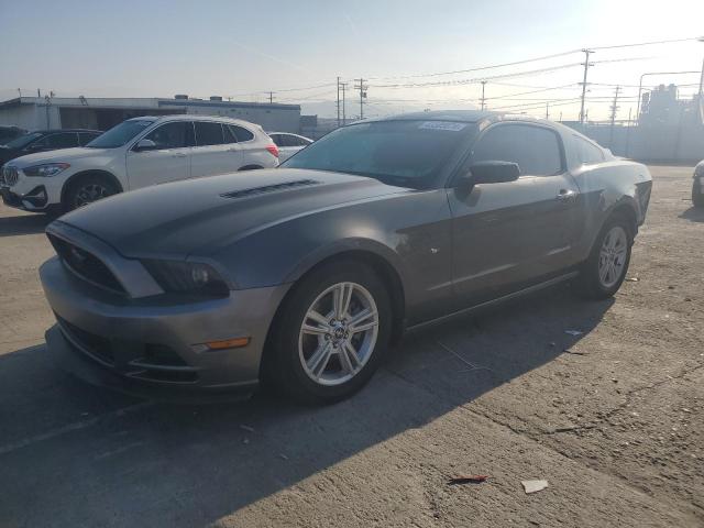 Lot #2428619573 2014 FORD MUSTANG salvage car