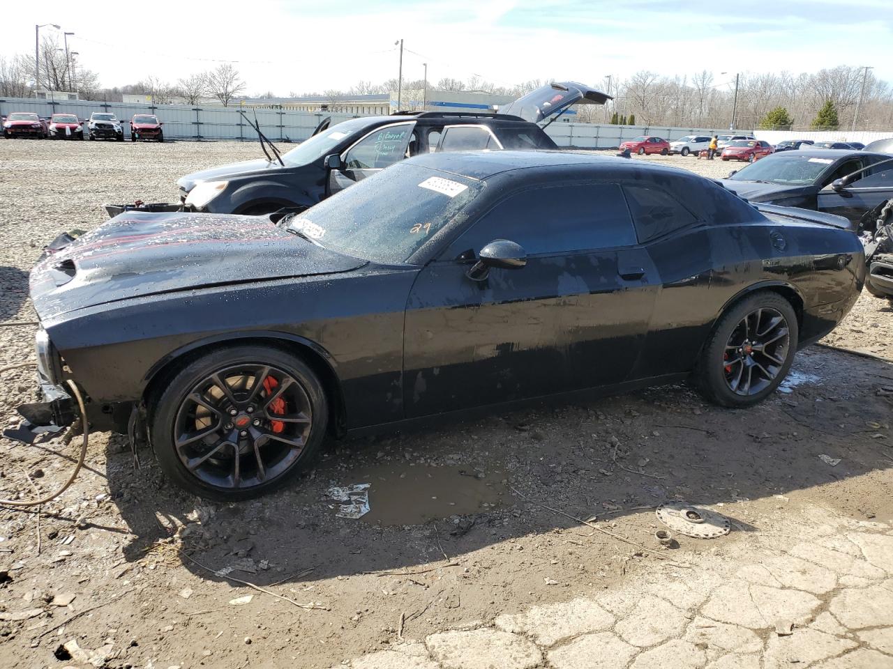 Lot #2446156430 2021 DODGE CHALLENGER