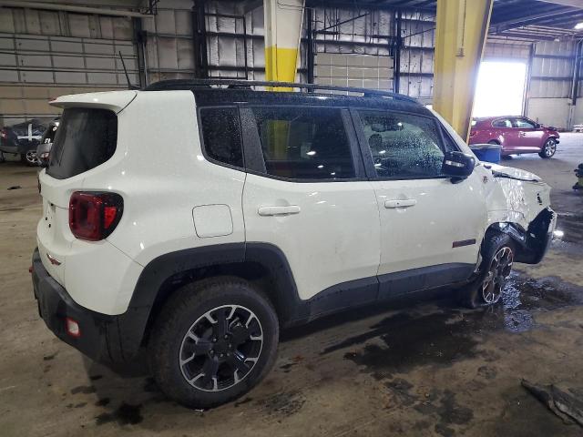 2023 Jeep Renegade Trailhawk VIN: ZACNJDC18PPP60029 Lot: 41250124