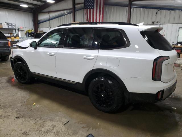 2023 Kia Telluride Sx VIN: 5XYP5DGCXPG363403 Lot: 40842514