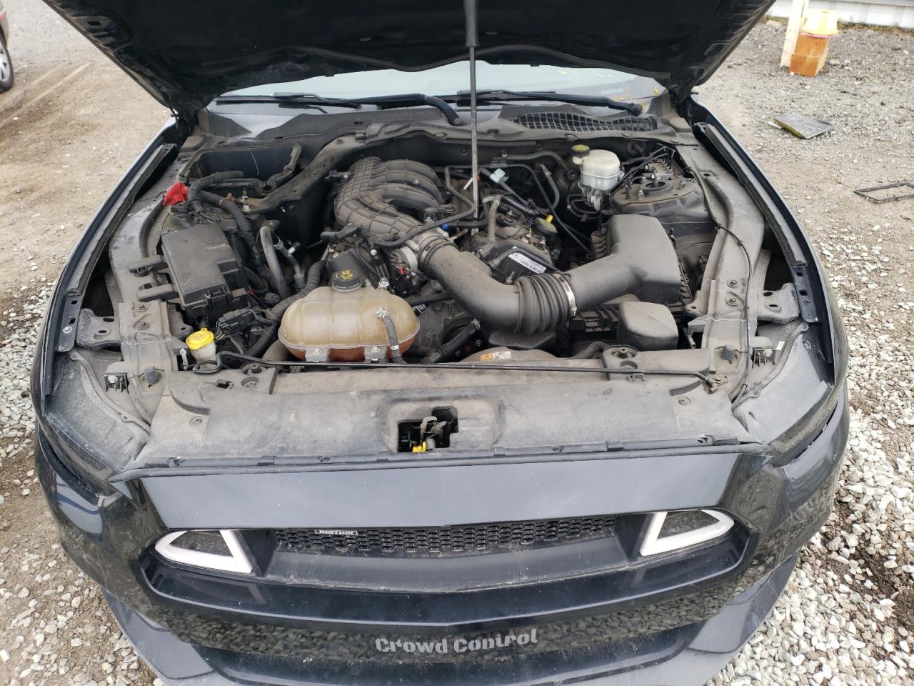 1FA6P8AM4G5215616 FORD ALL Models 2016