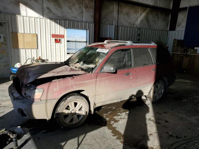 Lot #2390392946 2004 SUBARU FORESTER 2 salvage car