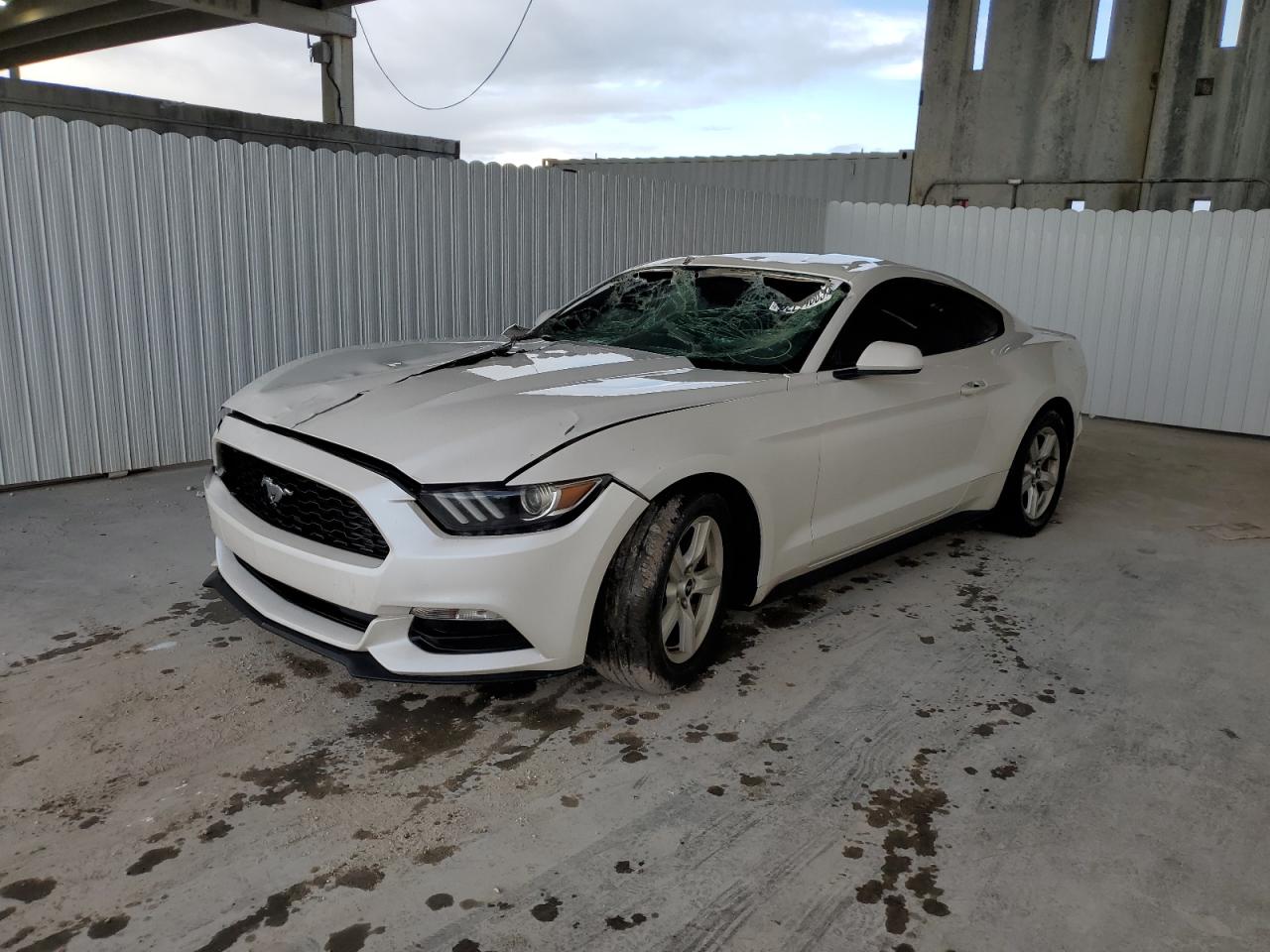 1FA6P8AM7H5259255 FORD ALL Models 2017