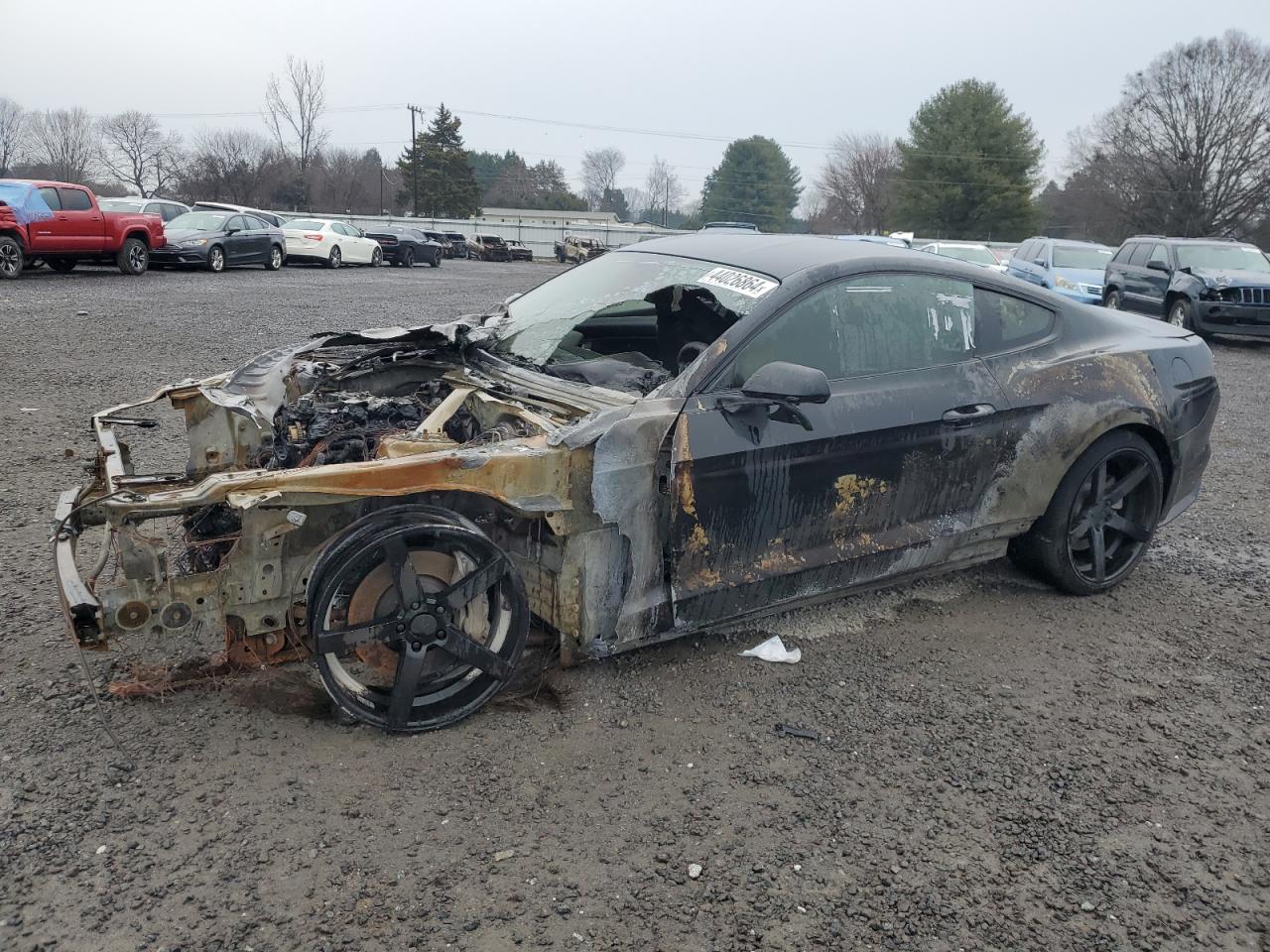 1FA6P8TH2F5325126 2015 Ford Mustang