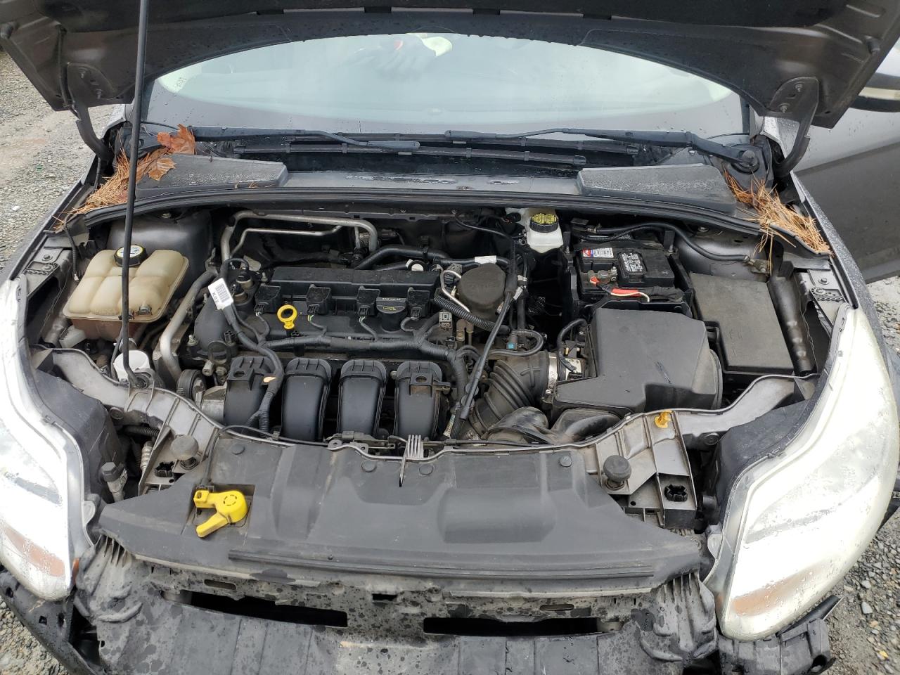 1FAHP3H21CL114748 2012 Ford Focus Sel