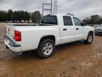 Lot #2404163179 2011 DODGE DAKOTA SLT