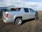 HONDA RIDGELINE photo