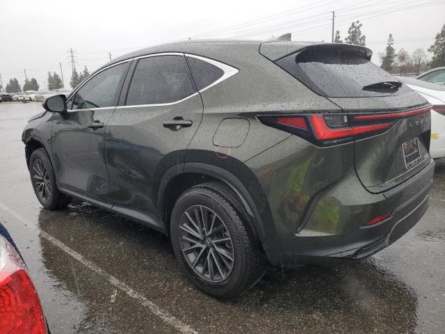 2024 LEXUS NX 250 BAS 2T2ADCAZ2RC009885
