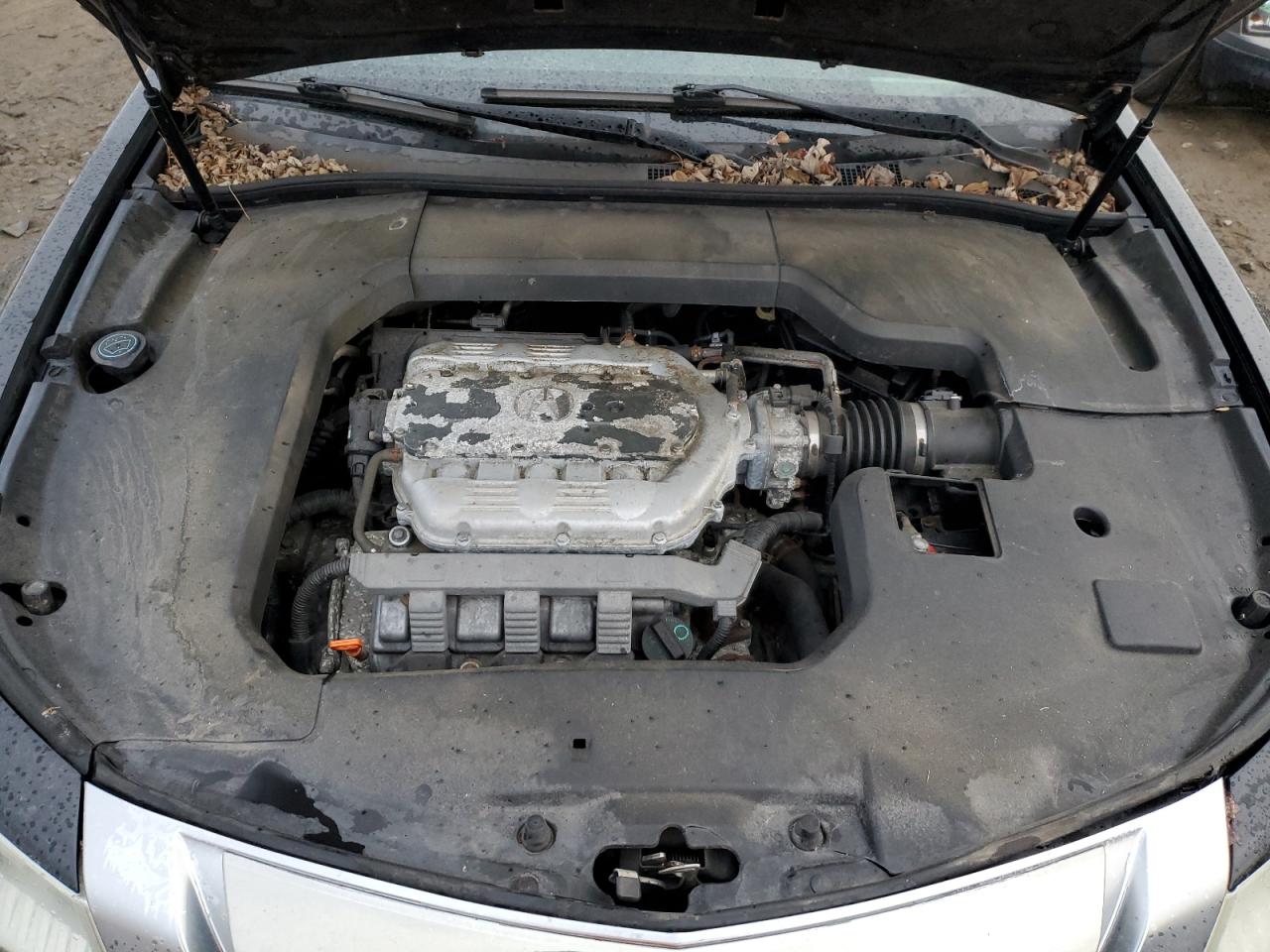 19UUA8F23AA016227 2010 Acura Tl