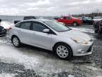 FORD FOCUS SE photo