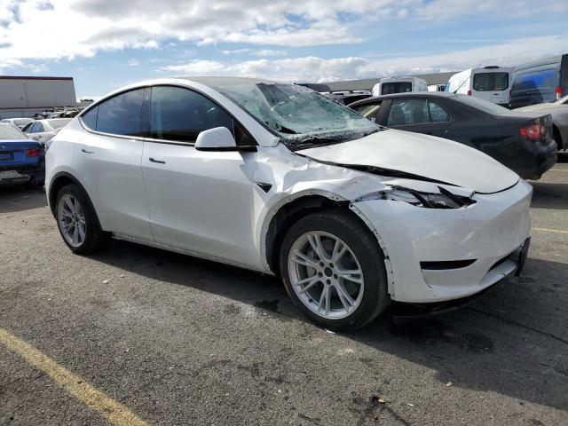 2023 TESLA MODEL Y 7SAYGDEE7PF738354
