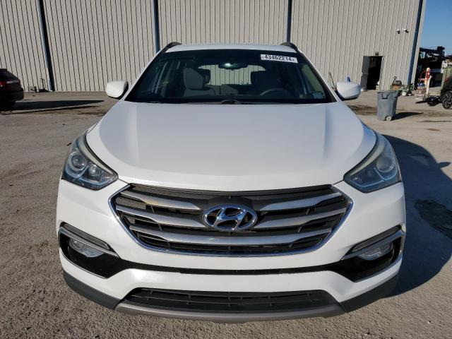 2017 HYUNDAI SANTA FE S 5NMZU3LB5HH011520