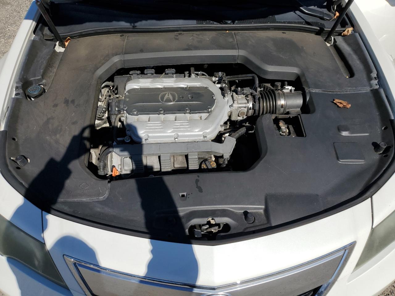 19UUA8F7XCA005532 2012 Acura Tl