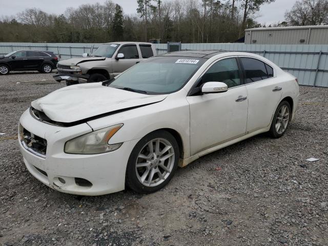 Lot #2471406166 2011 NISSAN MAXIMA S salvage car