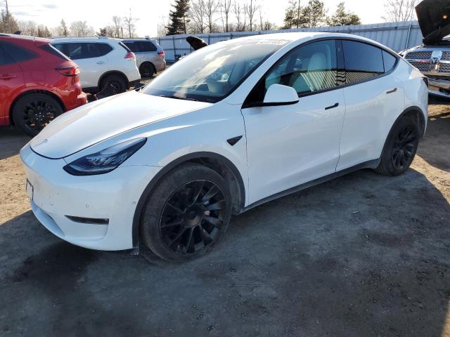 2022 TESLA MODEL Y 7SAYGDEE5NF419225