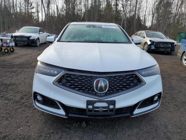 2019 ACURA TLX TECHNO 19UUB3F62KA800032