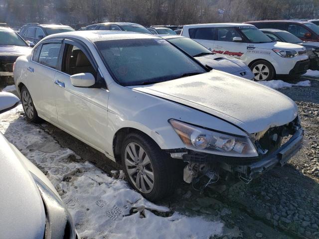 2009 Honda Accord Exl VIN: 1HGCP36869A004831 Lot: 41236804