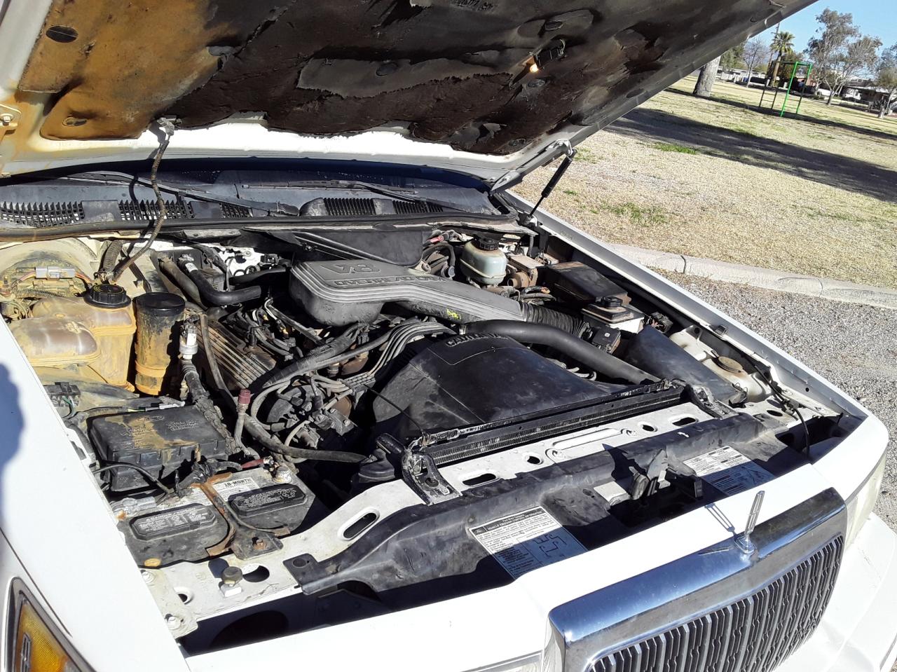 1lnlm82w5py743570 1LNLM82W5PY743570 1993 Lincoln Town Car Signature
