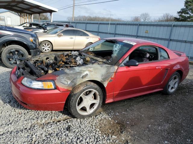 Lot #2371268856 2000 FORD MUSTANG GT salvage car