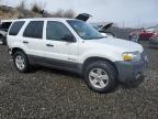 FORD ESCAPE HEV photo