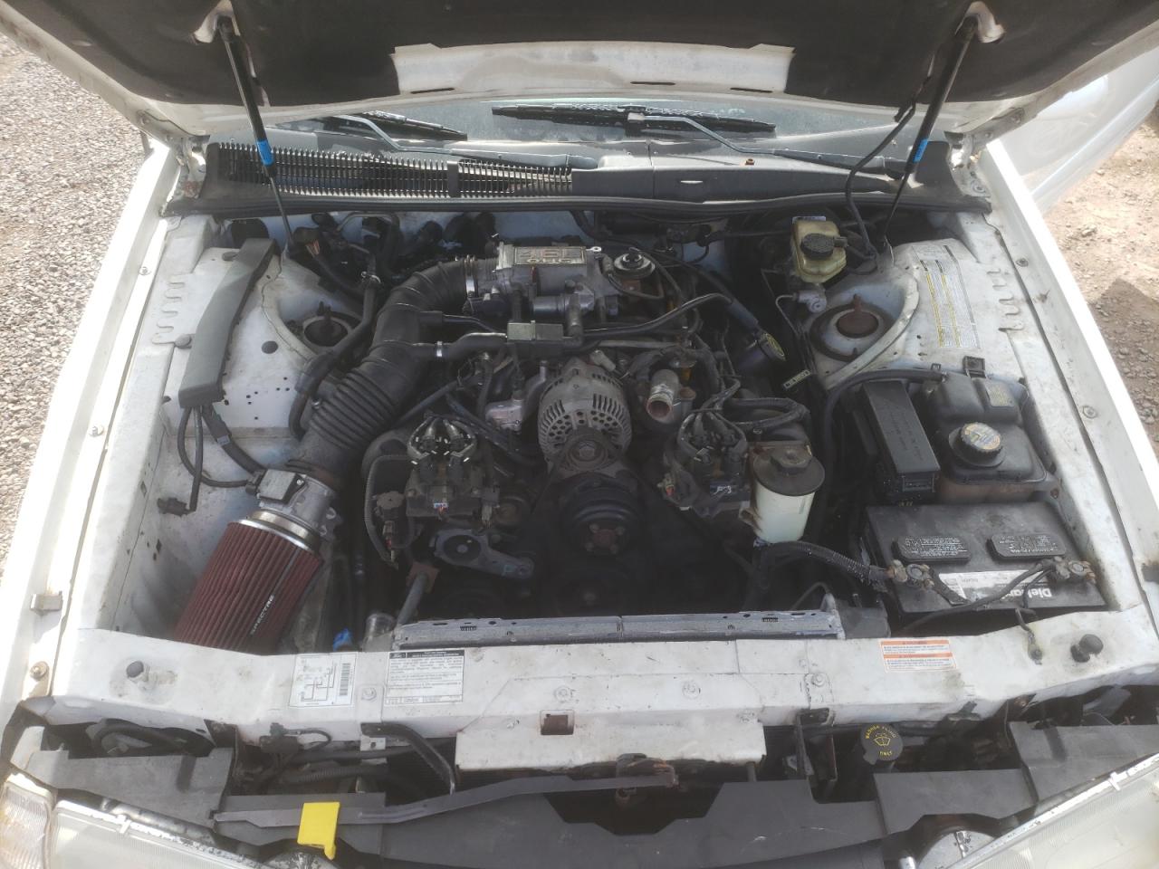 1FALP62WXTH144924 1996 Ford Thunderbird Lx